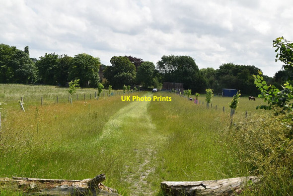Photo 6"x4" Grassy footpath Abington Pigotts c2021