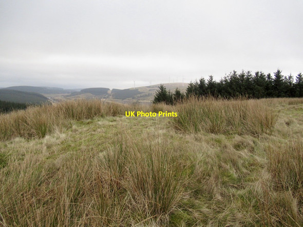 Photo 6"x4" Summit, Bodsberry Hill Elvanfoot c2022