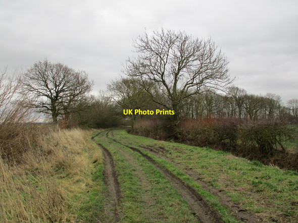 Photo 6"x4" Longhedge Lane Flintham c2022