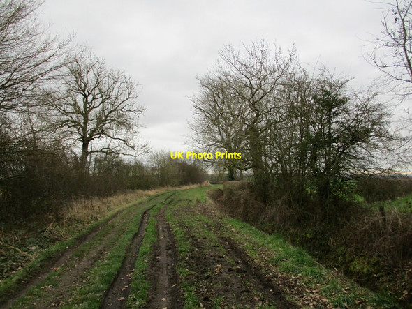 Photo 6"x4" Longhedge Lane Flintham c2022 P1