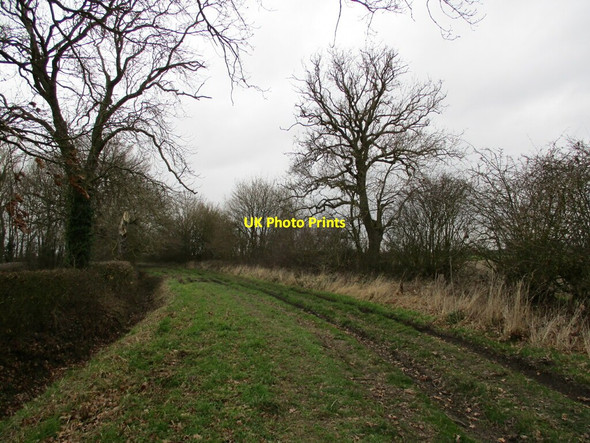 Photo 6"x4" Longhedge Lane Flintham c2022