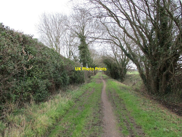 Photo 6"x4" Moor Lane, Syerston Elston\/SK7548 c2022
