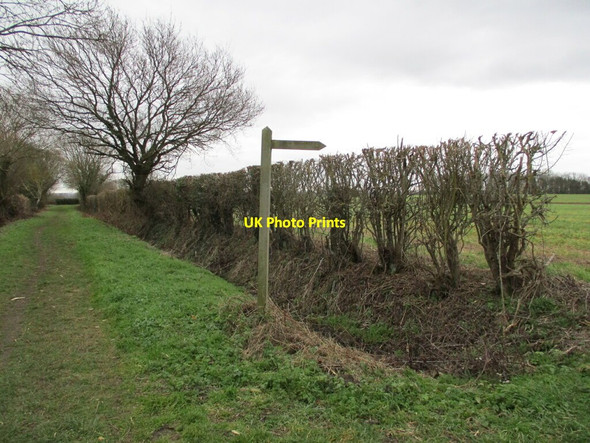 Photo 6"x4" The beginning of a footpath to Doghill Lane Elston\/SK7548 c2022
