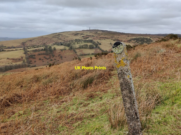 Photo 6"x4" View towards Abdon Burf Cockshutford c2022