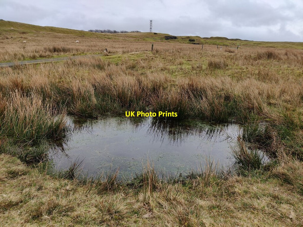 Photo 6"x4" Small pond near the summit of Clee Burf Cockshutford c2022