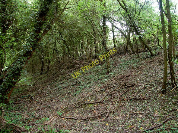 Photo 6"x4" Overgrown embankment near cement works Model Village\/SP4164 c2009