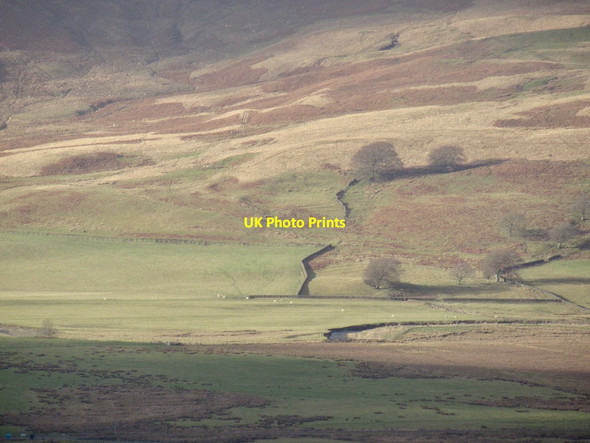 Photo 6"x4" Moorland above Crawford Midlock c2022