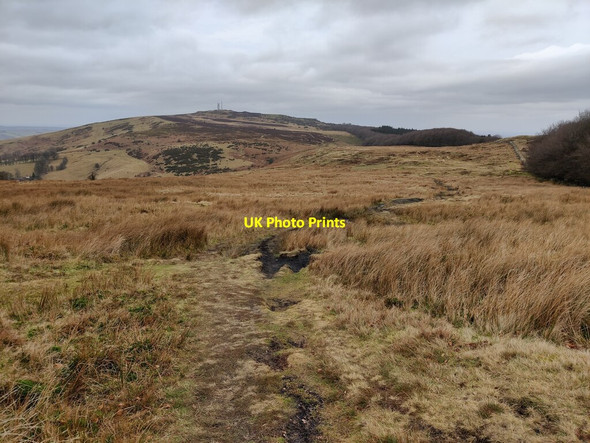 Photo 6"x4" Shropshire Way on Brown Clee Hill Cockshutford c2022