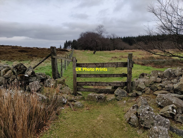 Photo 6"x4" Path to Boyne Water Cockshutford c2022