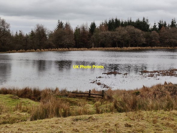 Photo 6"x4" Boyne Water at Brown Clee Hill Cockshutford c2022