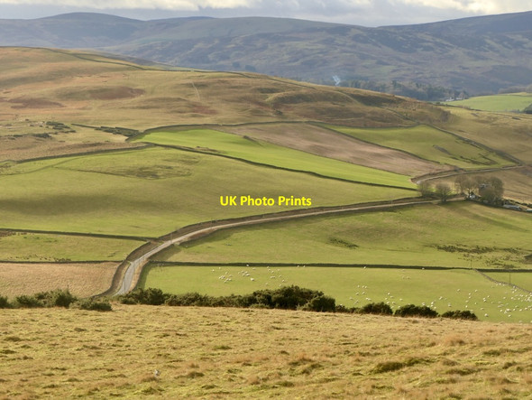 Photo 6"x4" Ferniehurst to Thornielee road Windydoors c2022