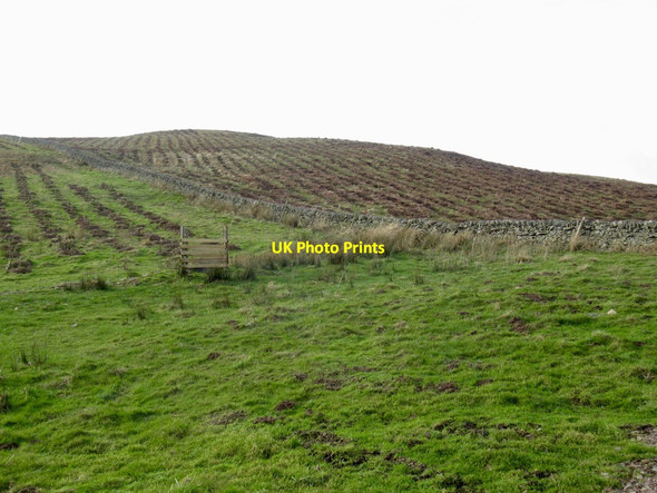 Photo 6"x4" Knowes Hill Windydoors c2022