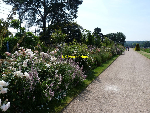 Photo 6"x4" Path by the Trellis Walk Knowl Wall c2014