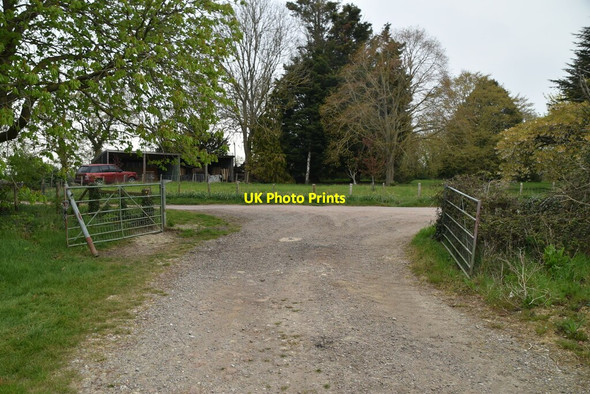 Photo 6"x4" Footpath meets byway Tong\/TQ8346 c2021