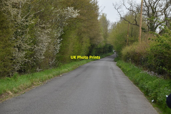 Photo 6"x4" East Sutton Rd Hearnden Green c2021 P1