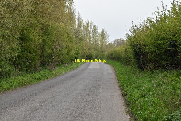 Photo 6"x4" East Sutton Rd Hearnden Green c2021