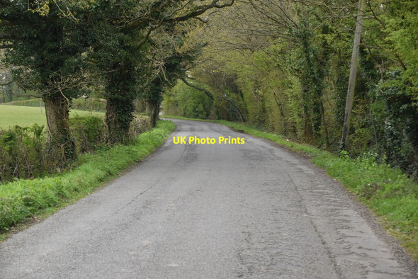 Photo 6"x4" East Sutton Rd Hearnden Green c2021