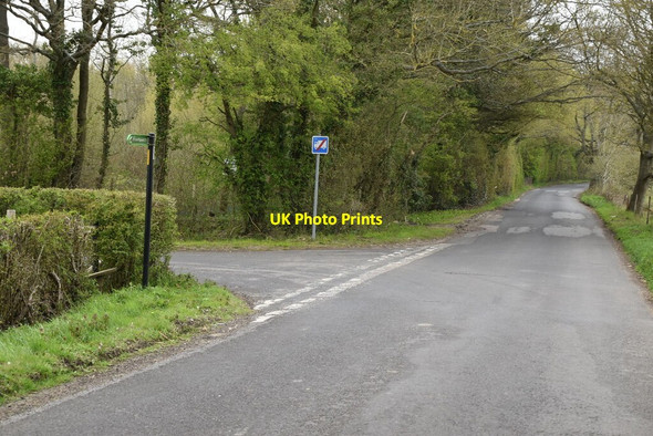 Photo 6"x4" Heniker Lane Tong\/TQ8346 c2021