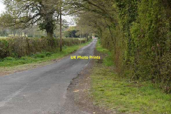 Photo 6"x4" Heniker Lane Tong\/TQ8346 c2021 P1