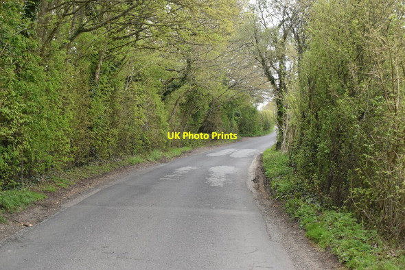 Photo 6"x4" East Sutton Rd Tong\/TQ8346 c2021