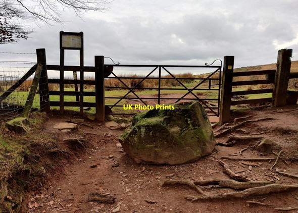 Photo 6"x4" Shropshire Way on Brown Clee Hill Cockshutford c2022