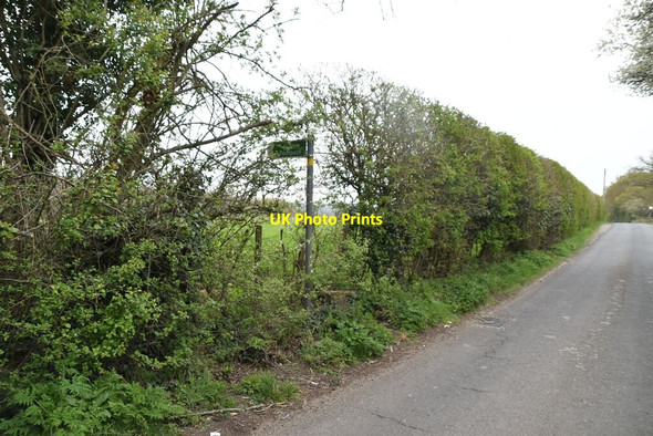 Photo 6"x4" Footpath off East Sutton Rd Tong\/TQ8346 c2021