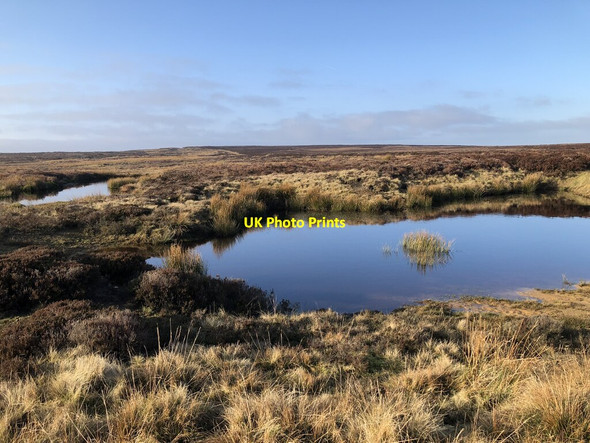 Photo 6"x4" Moorland Ponds Near Cockayne Head Urra c2022