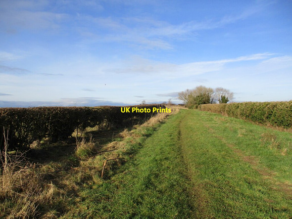 Photo 6"x4" Little Merebalk Lane Mareham on the Hill c2022