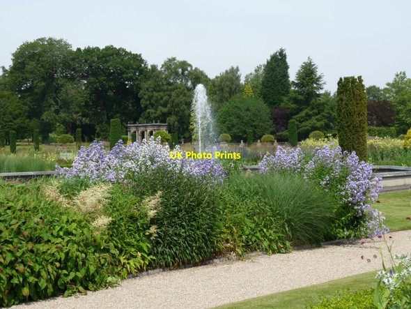 Photo 6"x4" View across the Italianate Garden to the remains of Trentham Hall Knowl Wall c2014