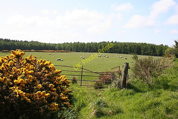 Photo 6"x4" Near Hillhead of Teuchar Teuchar c2009