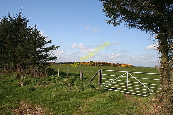 Photo 6"x4" Near Hillhead of Teuchar Teuchar c2009 P1