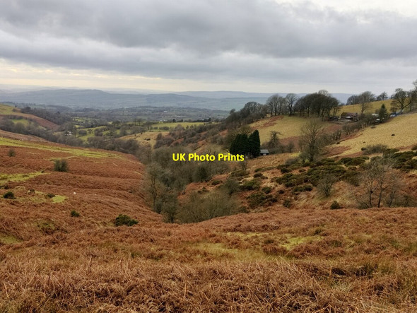 Photo 6"x4" Valley on the western slopes of Brown Clee Hill Cockshutford c2022