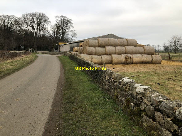 Photo 6"x4" Hay Bales At Kilgram Grange Rookwith c2022