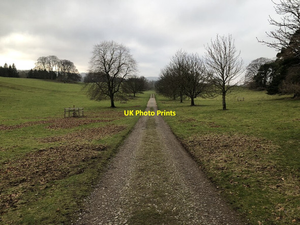 Photo 6"x4" Track Through Jervaulx Park Ellingstring c2022