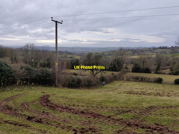 Photo 6"x4" Farmland at Cockshutford Abdon c2022