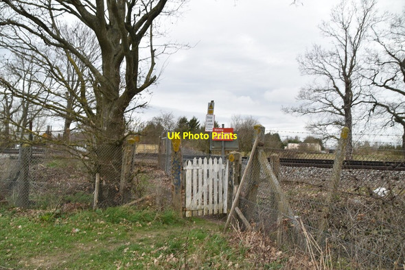Photo 6"x4" Level crossing Queen Street c2021
