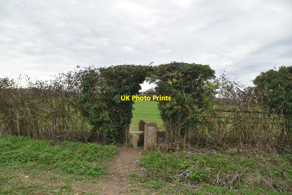 Photo 6"x4" Footpath through hedge Queen Street c2021