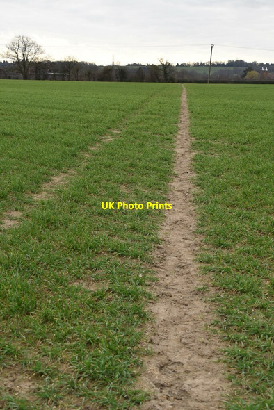 Photo 6"x4" Footpath across field Mile Oak\/TQ6843 c2021