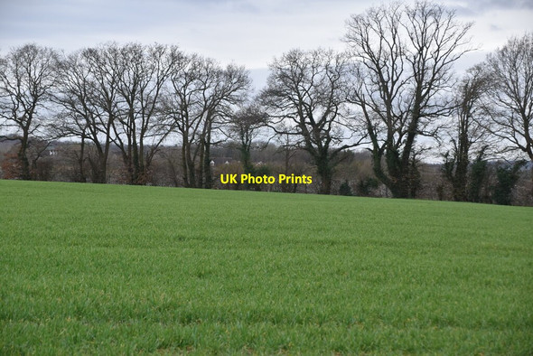 Photo 6"x4" Low Weald farmland Mile Oak\/TQ6843 c2021