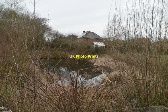 Photo 6"x4" Pond on edge of Paddock Wood Paddock Wood\/TQ6744 c2021