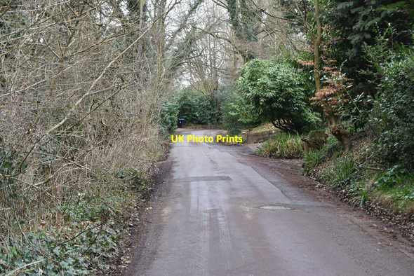 Photo 6"x4" Sandy Lane Oxted c2021