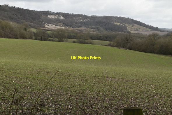 Photo 6"x4" North Downs farmland Oxted c2021