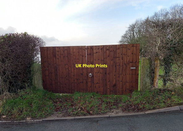 Photo 6"x4" Clint, Clint Bank Clint\/SE2559 c2022