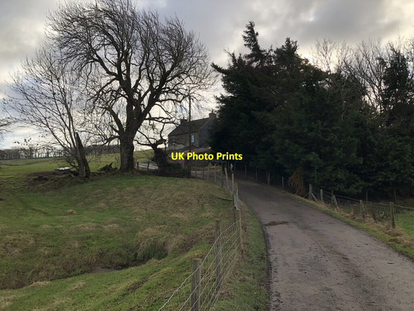 Photo 6"x4" West Pasture Farm Gilmonby c2022