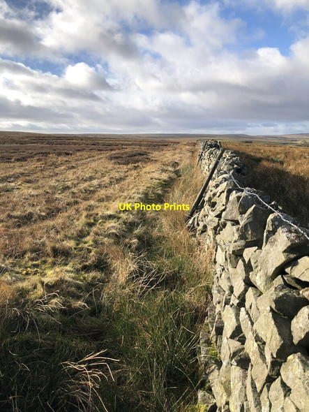 Photo 6"x4" Wytham Moor Wytham Moor c2022