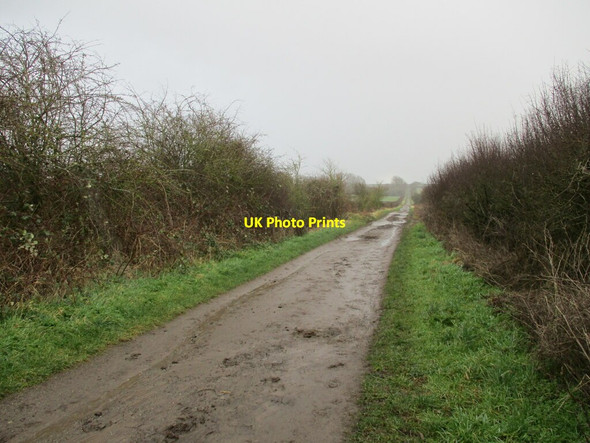 Photo 6"x4" Wolds Lane Keyworth c2022