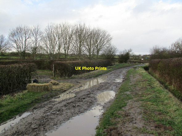 Photo 6"x4" Lings Lane Keyworth c2022