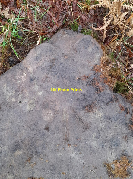 Photo 6"x4" Ordnance Survey Rivet Fforddlas c2022