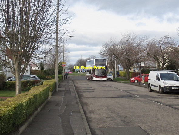 Photo 6"x4" No. 29 bus, Silverknowes Road Silverknowes c2022