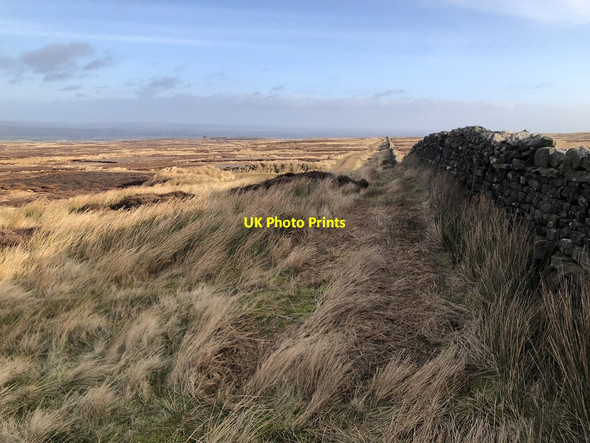 Photo 6"x4" Barningham Moor Scargill c2022